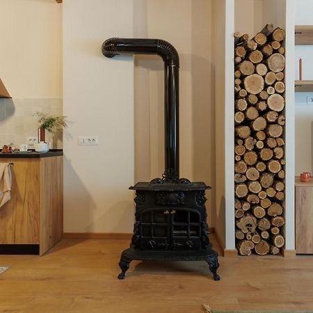 Roua Ludica Apartments Брашов Экстерьер фото