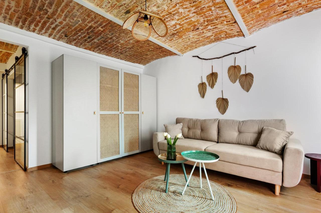 Roua Ludica Apartments Брашов Экстерьер фото