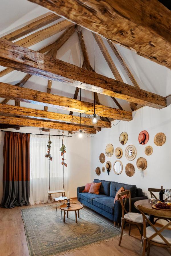 Roua Ludica Apartments Брашов Экстерьер фото